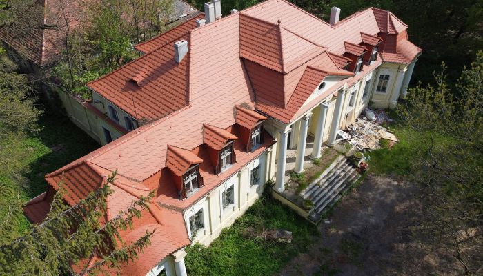 Palácio à venda Skoraszewice, Wielkopolskie,  Polónia