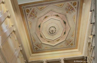 Palácio à venda Karlovarský kraj, Teto