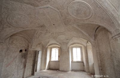 Palácio à venda Karlovarský kraj, Imagem 5/16