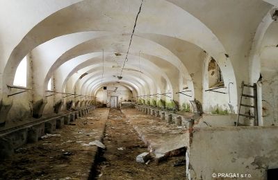 Palácio à venda Karlovarský kraj, Imagem 10/16