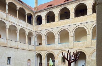 Palácio à venda Štětí, Ústecký kraj, Pátio