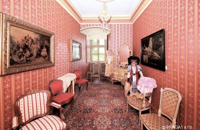 Palácio à venda Olomoucký kraj, Imagem 7/14
