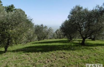 Casa de campo à venda Rivalto, Toscana, Imagem 8/15