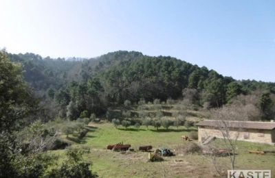 Casa de campo à venda Rivalto, Toscana, Imagem 12/15