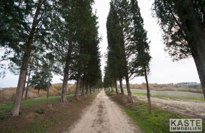 Mosteiro à venda Peccioli, Toscana, Imagem 20/28