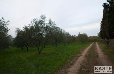 Mosteiro à venda Peccioli, Toscana, Imagem 14/28