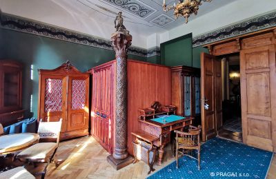 Palácio à venda Jihočeský kraj, Imagem 16/21