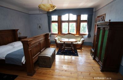 Palácio à venda Jihočeský kraj, Imagem 12/21