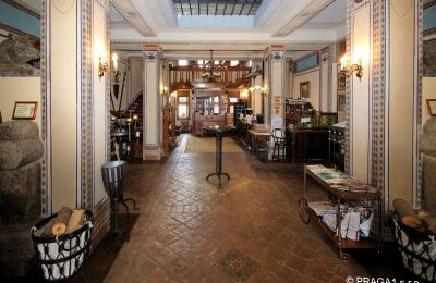 Palácio à venda Jihočeský kraj, Hall de entrada