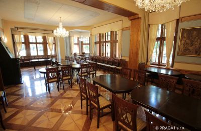Palácio à venda Jihočeský kraj, Imagem 10/21