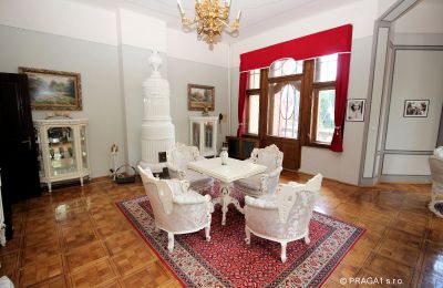 Palácio à venda Jihočeský kraj, Imagem 6/21