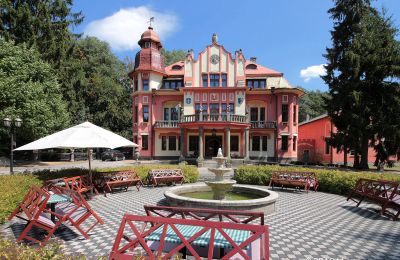 Palácio à venda Jihočeský kraj, Vista frontal