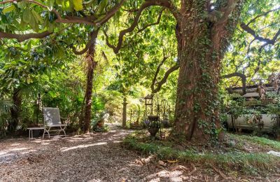 Villa histórica à venda Verbano-Cusio-Ossola, Pallanza, Piemonte, Jardim
