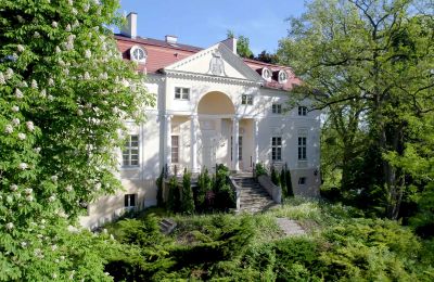 Palácio à venda Samotwór, Dolnoslaskie, Vista traseira