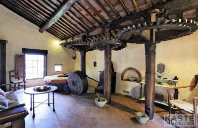 Moinho à venda Camaiore, Toscana, Imagem 3/12