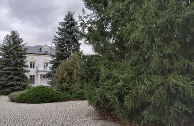 Casa senhorial à venda Zarębów, Dwór w Zarębowie, Lodzkie, Imagem 19/22