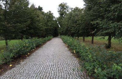 Casa senhorial à venda Zarębów, Dwór w Zarębowie, Lodzkie, Acesso