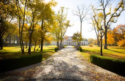 Casa senhorial à venda Zborów, Kownackiej 33, Wielkopolskie, Acesso