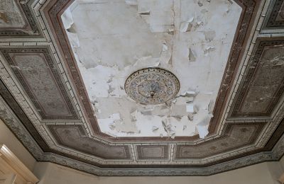 Palácio à venda Głuchowo, Palac 1, Wielkopolskie, Teto