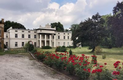 Palácio à venda Głuchowo, Palac 1, Wielkopolskie, Acesso