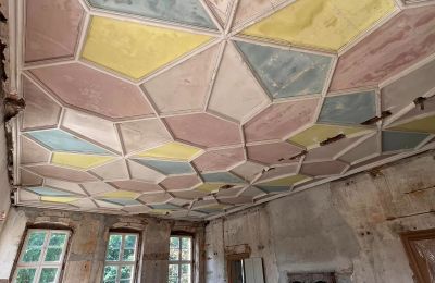 Palácio à venda powiat gorzowski, gmina Witnica, Dąbroszyn, Pałac w Dąbroszynie, Lubuskie, Teto
