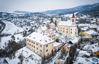 Palácio à venda Žitenice, Zámek Žitenice, Ústecký kraj, Imagem 31/31