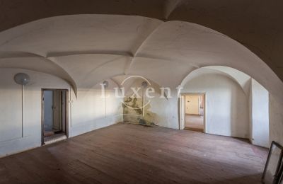 Palácio à venda Žitenice, Zámek Žitenice, Ústecký kraj, Interior 1