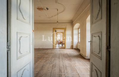 Palácio à venda Žitenice, Zámek Žitenice, Ústecký kraj, Salão de baile