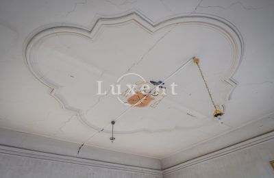 Palácio à venda Žitenice, Zámek Žitenice, Ústecký kraj, Decoração de estuque