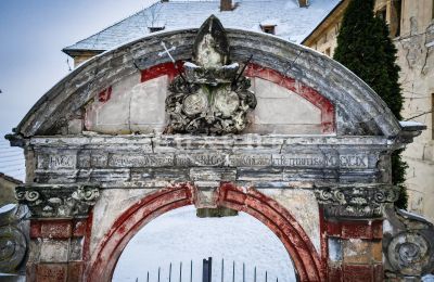 Palácio à venda Žitenice, Zámek Žitenice, Ústecký kraj, Imagem 19/31
