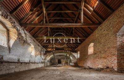 Palácio à venda Žitenice, Zámek Žitenice, Ústecký kraj, Imagem 23/31