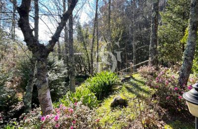 Casa senhorial à venda 36740 Tomiño, Galiza, Imagem 20/37