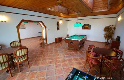 Casa senhorial à venda Levín, Ústecký kraj, Imagem 15/19