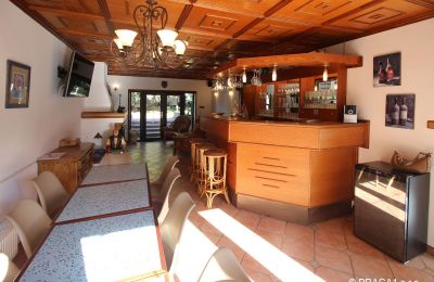 Casa senhorial à venda Levín, Ústecký kraj, Imagem 6/19