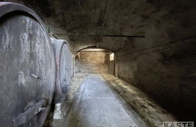 Villa histórica à venda Santo Pietro Belvedere, Toscana, Imagem 13/14
