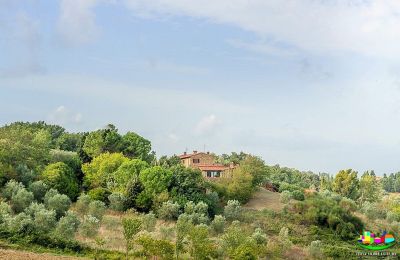 Casa de campo à venda Livorno, Toscana, Imagem 15/16