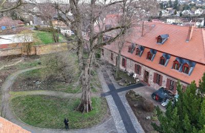 Palácio à venda Hesse, Imagem 6/14