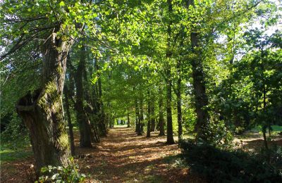Casa senhorial à venda Paplin, Dwór w Paplinie, Mazowieckie, Imagem 16/20