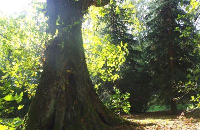 Casa senhorial à venda Paplin, Dwór w Paplinie, Mazowieckie, Imagem 17/20