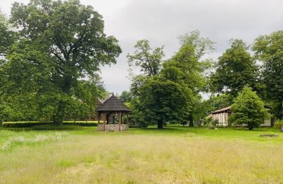 Casa senhorial à venda Paplin, Dwór w Paplinie, Mazowieckie, Propriedade