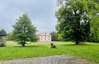 Casa senhorial à venda Paplin, Dwór w Paplinie, Mazowieckie, Imagem 11/20