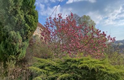 Casa senhorial à venda Dolnoslaskie, Imagem 28/29