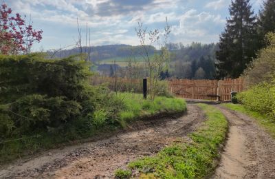 Casa senhorial à venda Dolnoslaskie, Imagem 29/29