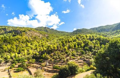 Casa senhorial à venda Estellencs, Ilhas Baleares, Vista