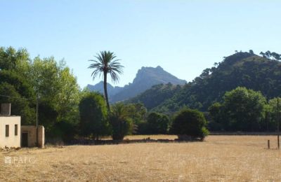 Casa senhorial à venda Mallorca, Serra de Tramuntana, Cala Sant Vicenç, Ilhas Baleares, Imagem 11/14