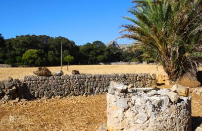 Casa senhorial à venda Mallorca, Serra de Tramuntana, Cala Sant Vicenç, Ilhas Baleares, Imagem 12/14