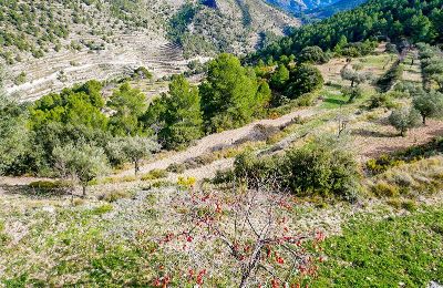 Mansão histórica à venda Relleu, Comunidade Valenciana, Imagem 21/24