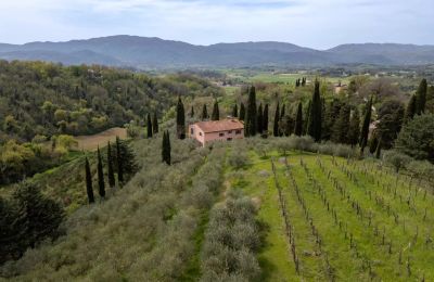 Casa de campo à venda Vicchio, Toscana, Imagem 36/39