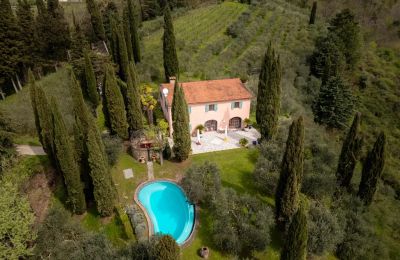 Imóveis com caráter, Mugello: Renoviertes Bauernhaus mit Weinberg nördlich von Florenz