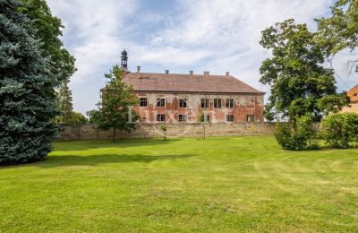 Palácio à venda Kounice, Zámek Kounice, Středočeský kraj, Zámek Kounice 2024